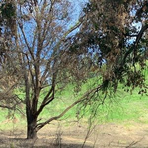 Meet your Posher, Gloria